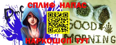 СК Можга