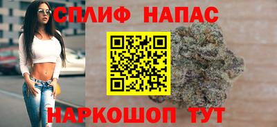 СК Можга