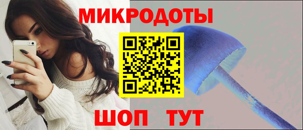 Псилоцибиновые грибы Psilocybine cubensis  Вход с VPN  Светлоград  Галлюциногенные грибы Psilocybine cubensis 