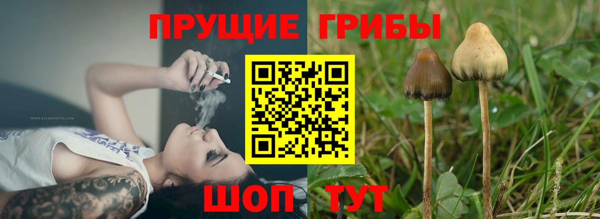 Галлюциногенные грибы MAGIC MUSHROOMS Светлоград